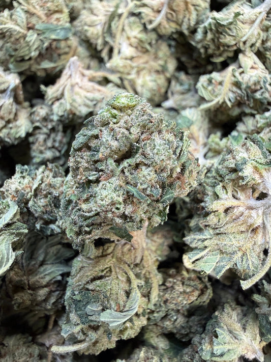 1 Pound - Gas Bandit THCA Strain Frisco Labs