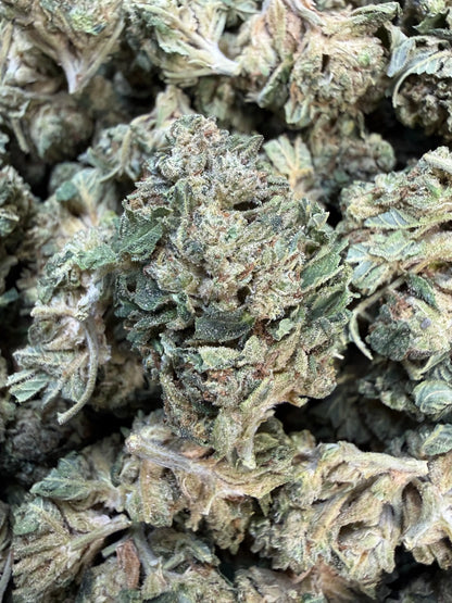1 Pound - Gas Bandit THCA Strain Frisco Labs
