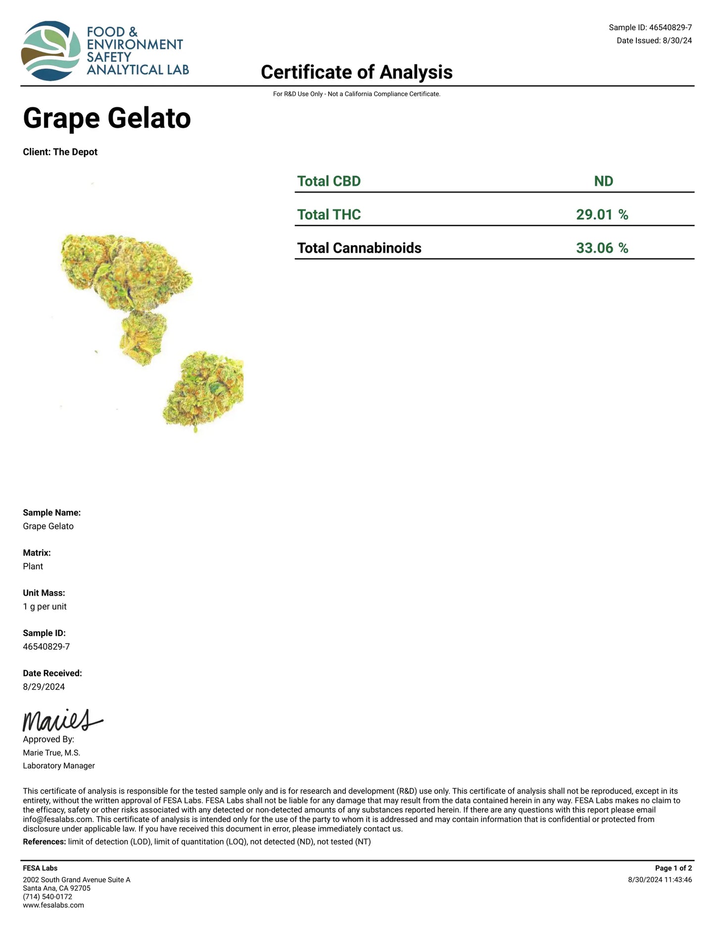 1 Pound - Gelato Punch THCA Smalls FL Fulfillment Center