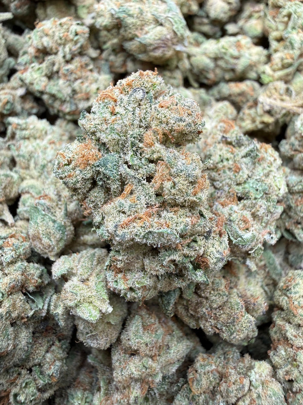 1 Pound - Glitter Bombz THCA Strain