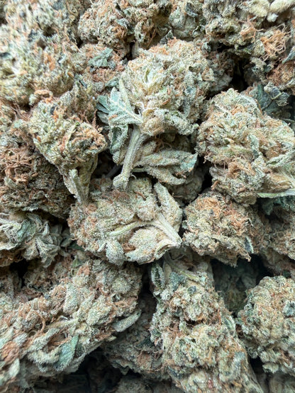 1 Pound - Gorilla Glue THCA Strain Frisco Labs
