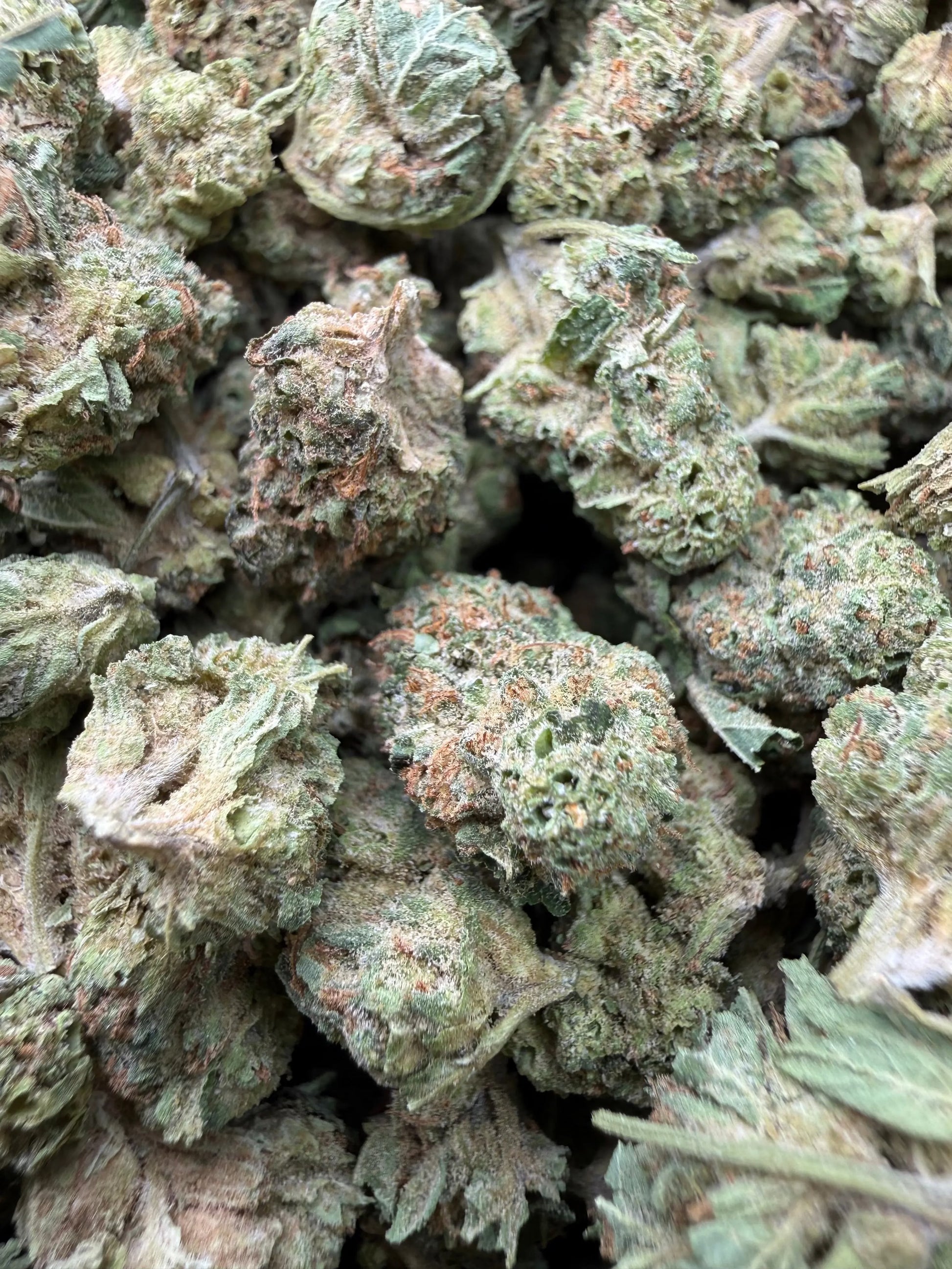 1 Pound - Gorilla OG THCA Strain (Smalls) Frisco Labs