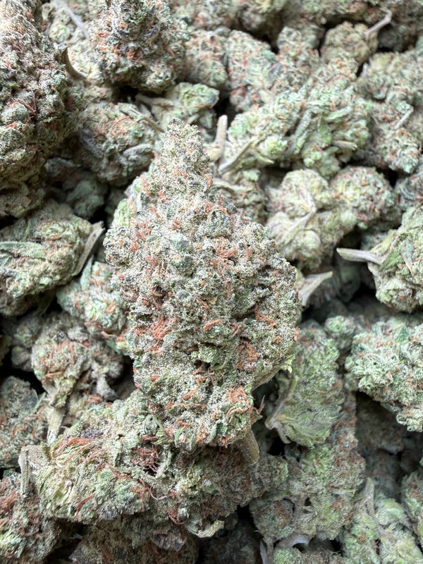 1 Pound -  GovernMintz THCA Strain