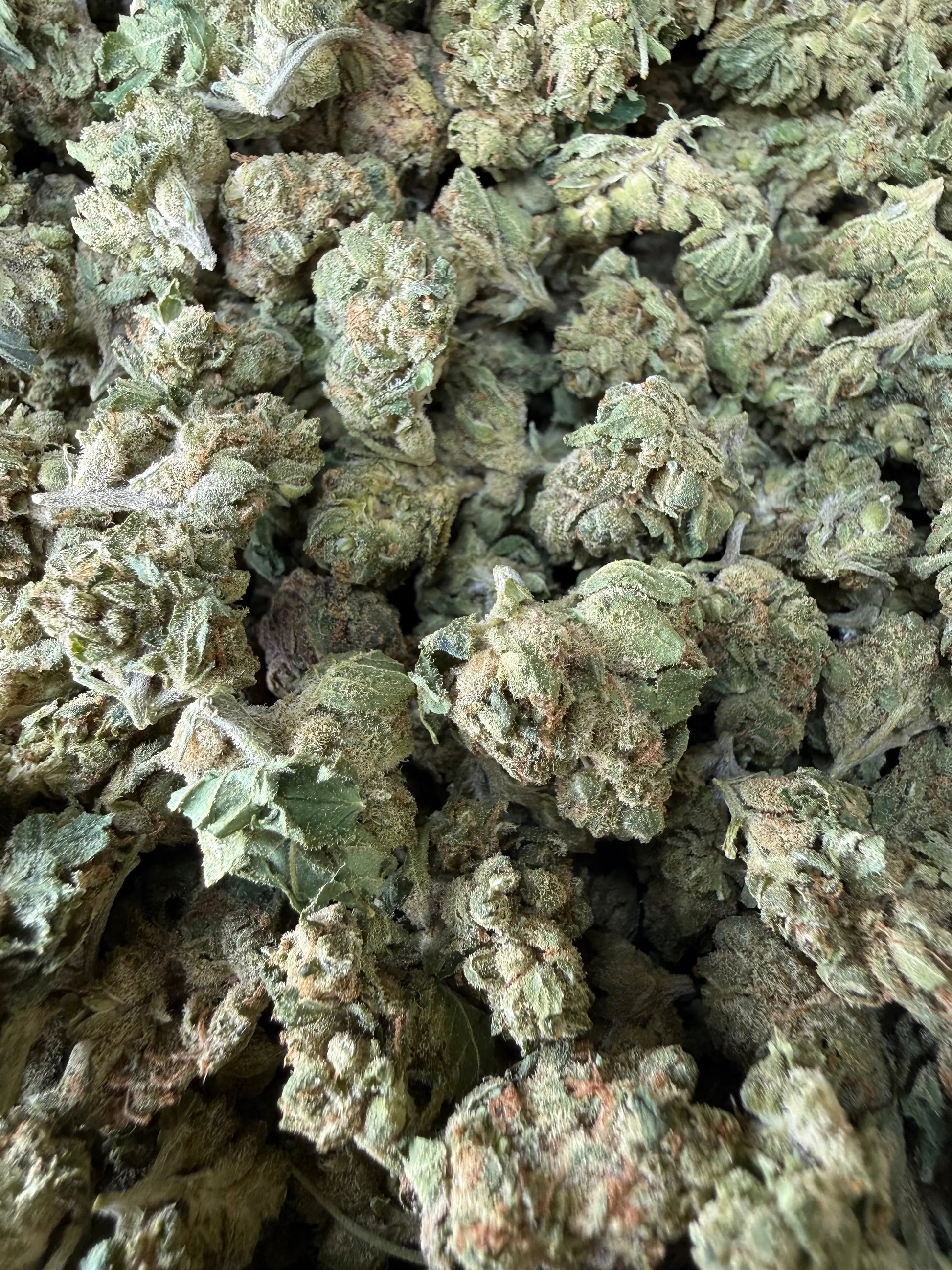 1 Pound -  Graff Gazz THCA Strain Frisco Labs