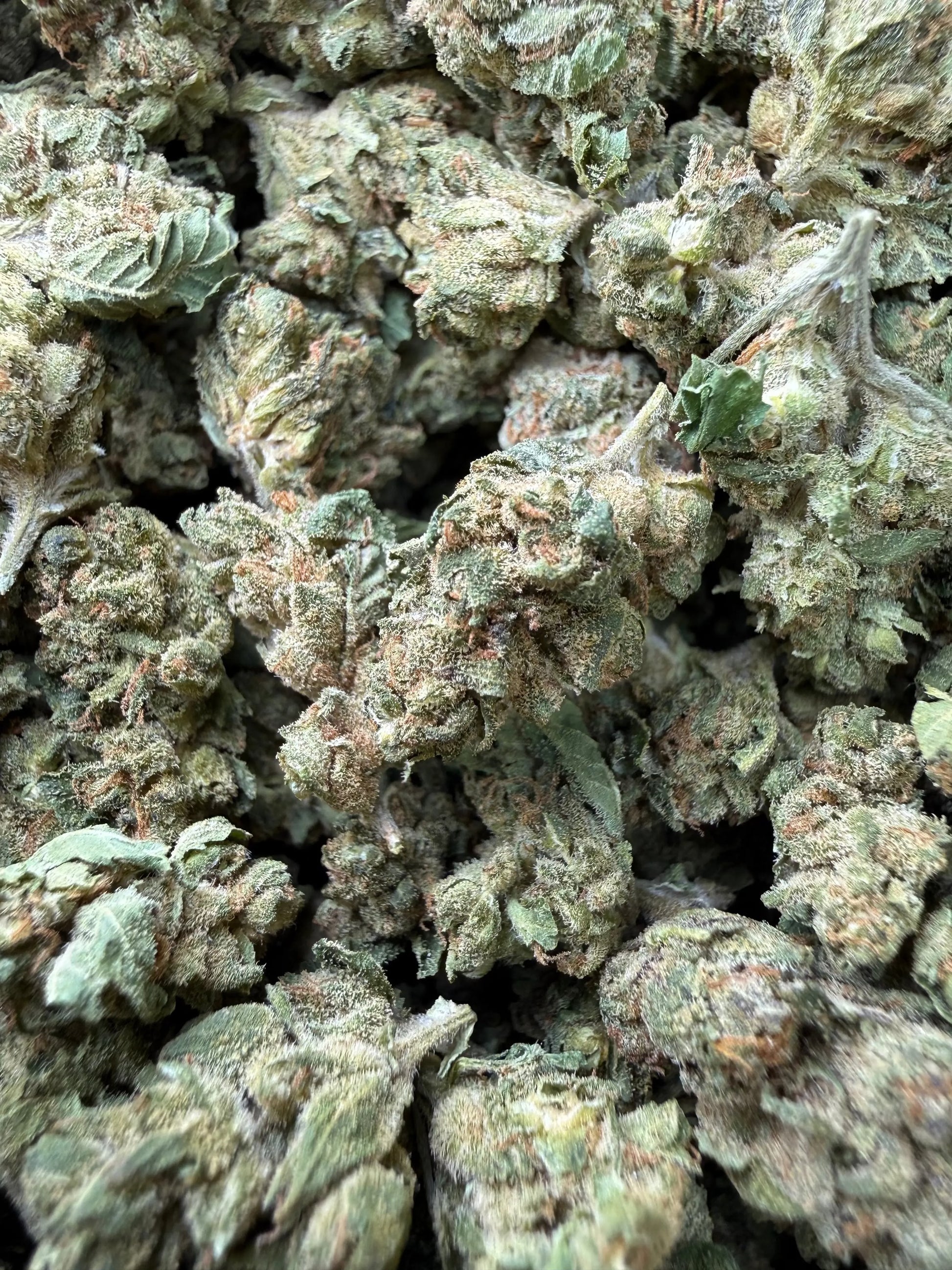 1 Pound -  Graff Gazz THCA Strain Frisco Labs