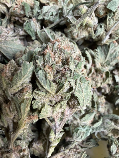 1 Pound -  Graff Gazz THCA Strain (Smalls) (Budget Bud) (Lows) Frisco Labs