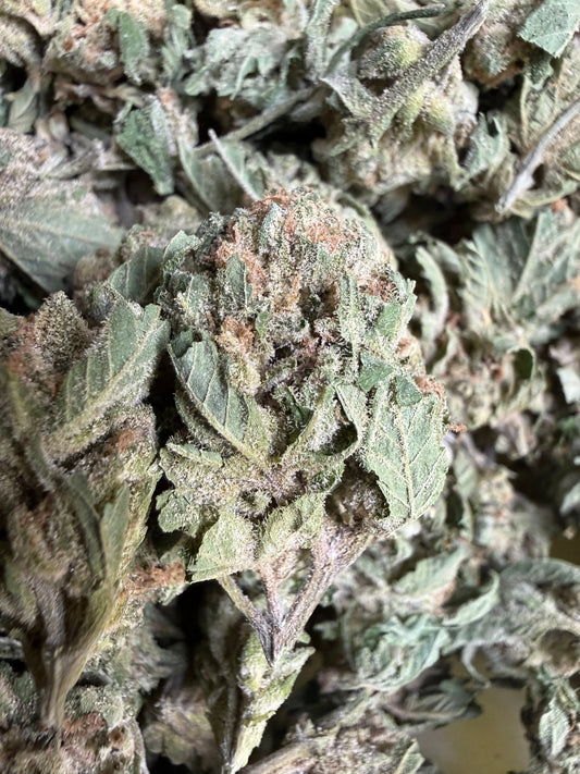 1 Pound -  Graff Gazz THCA Strain (Smalls) (Budget Bud) (Lows) Frisco Labs