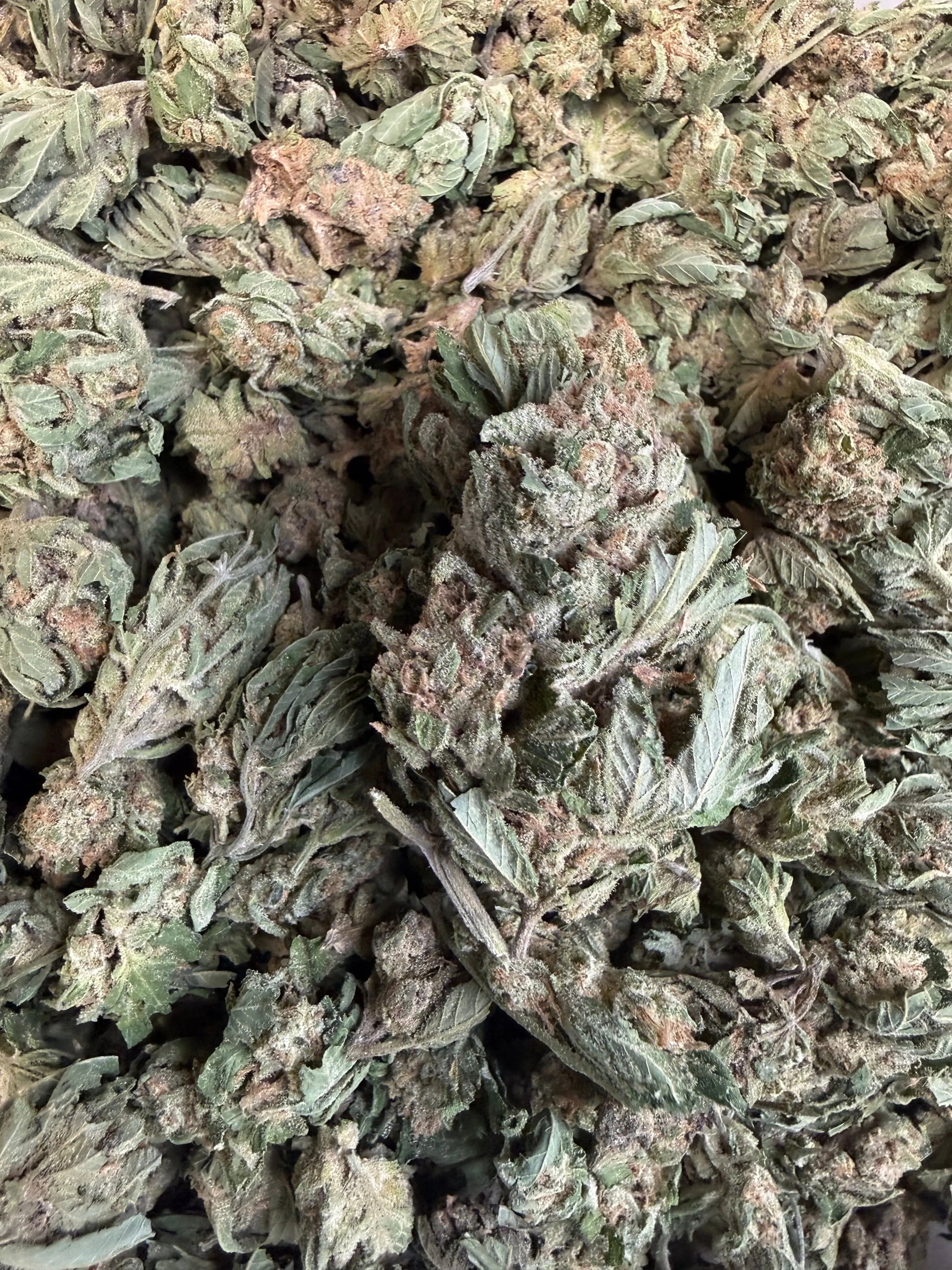 1 Pound -  Graff Gazz THCA Strain (Smalls) (Budget Bud) (Lows) Frisco Labs