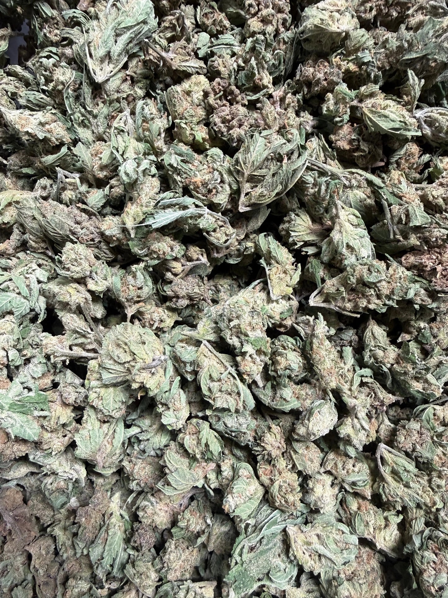 1 Pound -  Graff Gazz THCA Strain (Smalls) (Budget Bud) (Lows) Frisco Labs