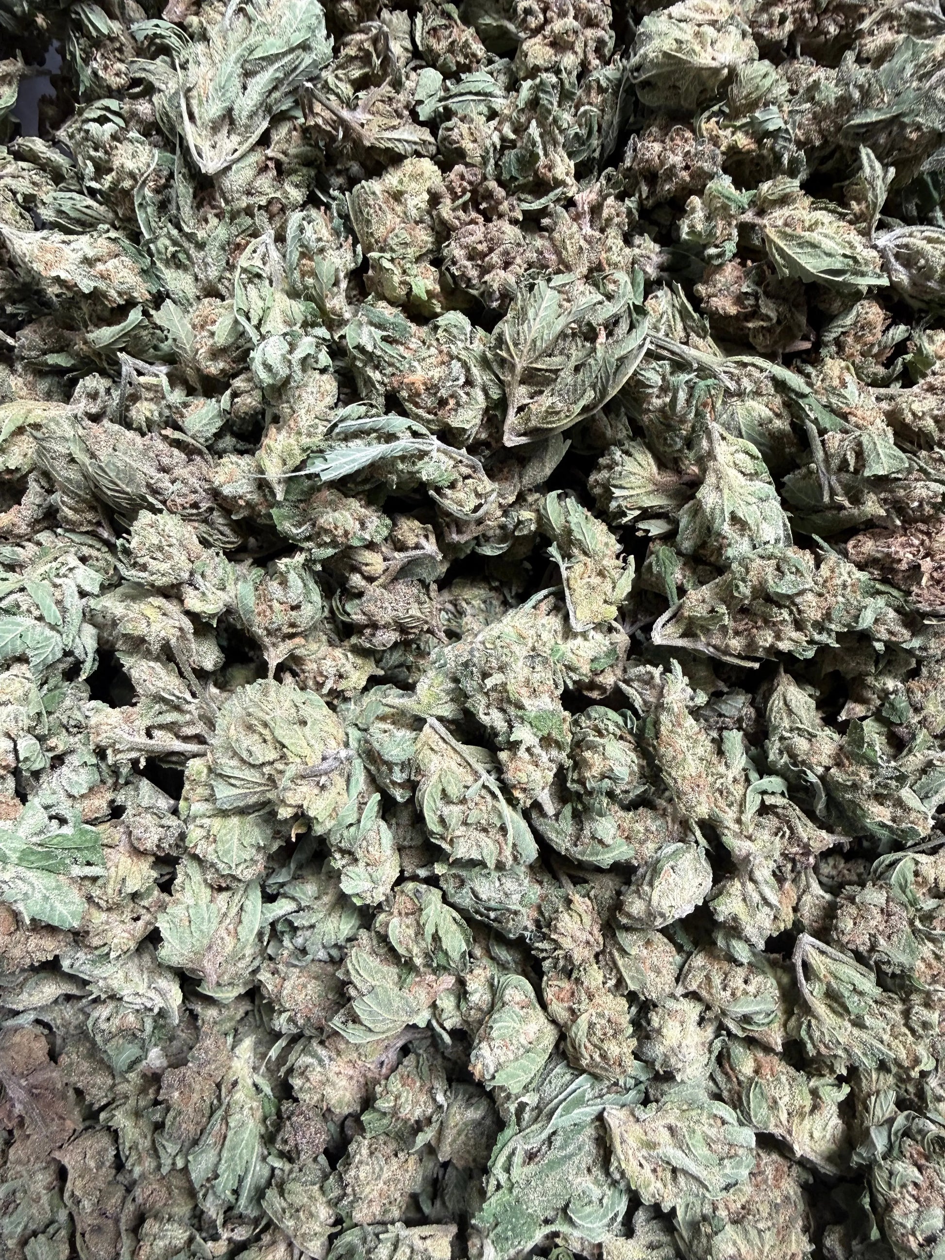 1 Pound -  Graff Gazz THCA Strain (Smalls) (Budget Bud) (Lows) Frisco Labs