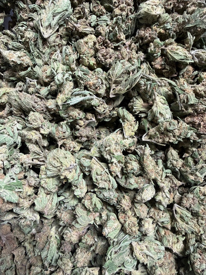 1 Pound -  Graff Gazz THCA Strain (Smalls) (Budget Bud) (Lows) Frisco Labs