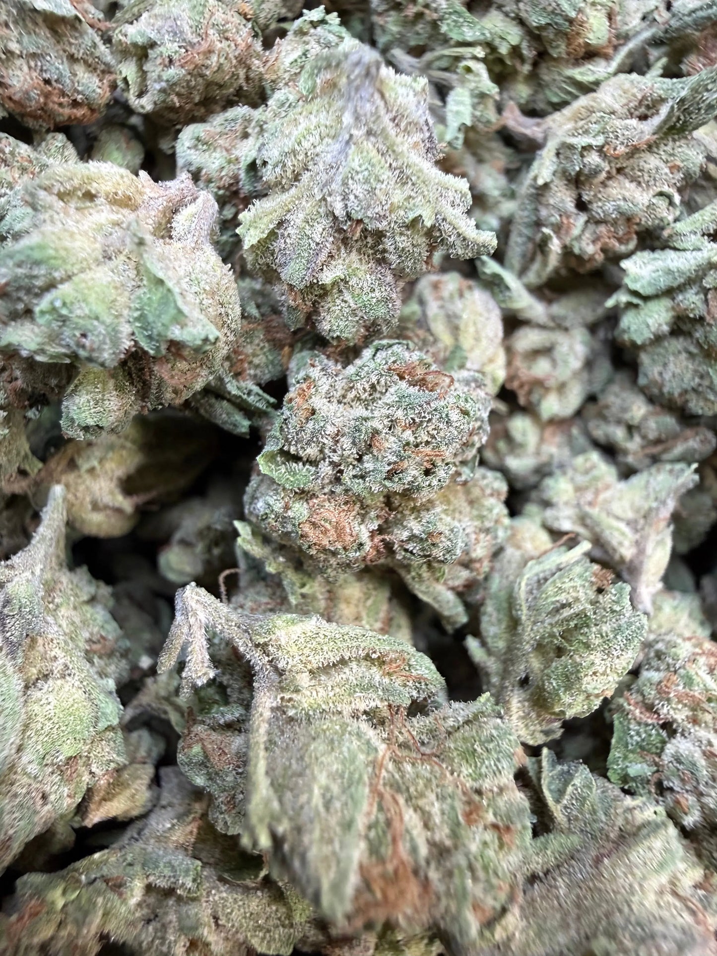 1 Pound - Granny Panties THCA Strain (Small) Frisco Labs