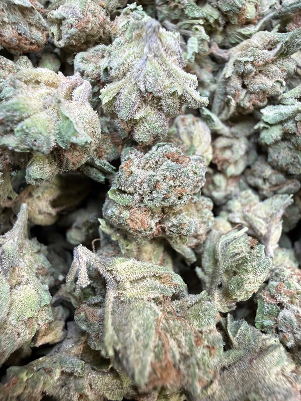 1 Pound - Granny Panties THCA Strain (Small/ Micro)