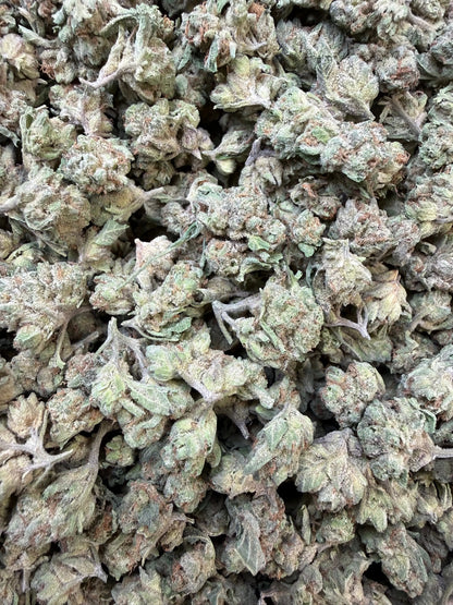 1 Pound - Granny Panties THCA Strain (Small) Frisco Labs