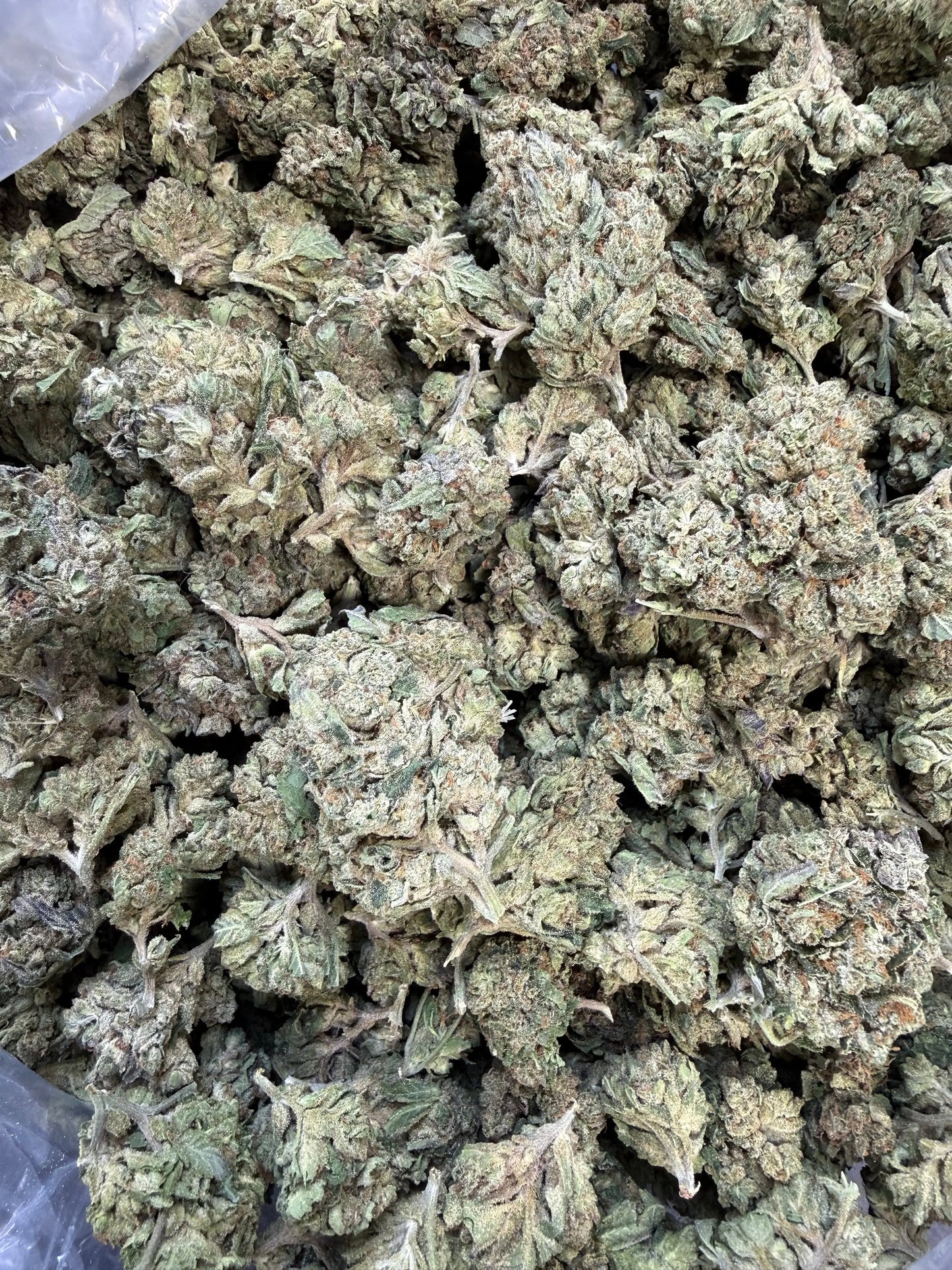 1 Pound Grape Crème Cake THCA FL Fulfillment Center