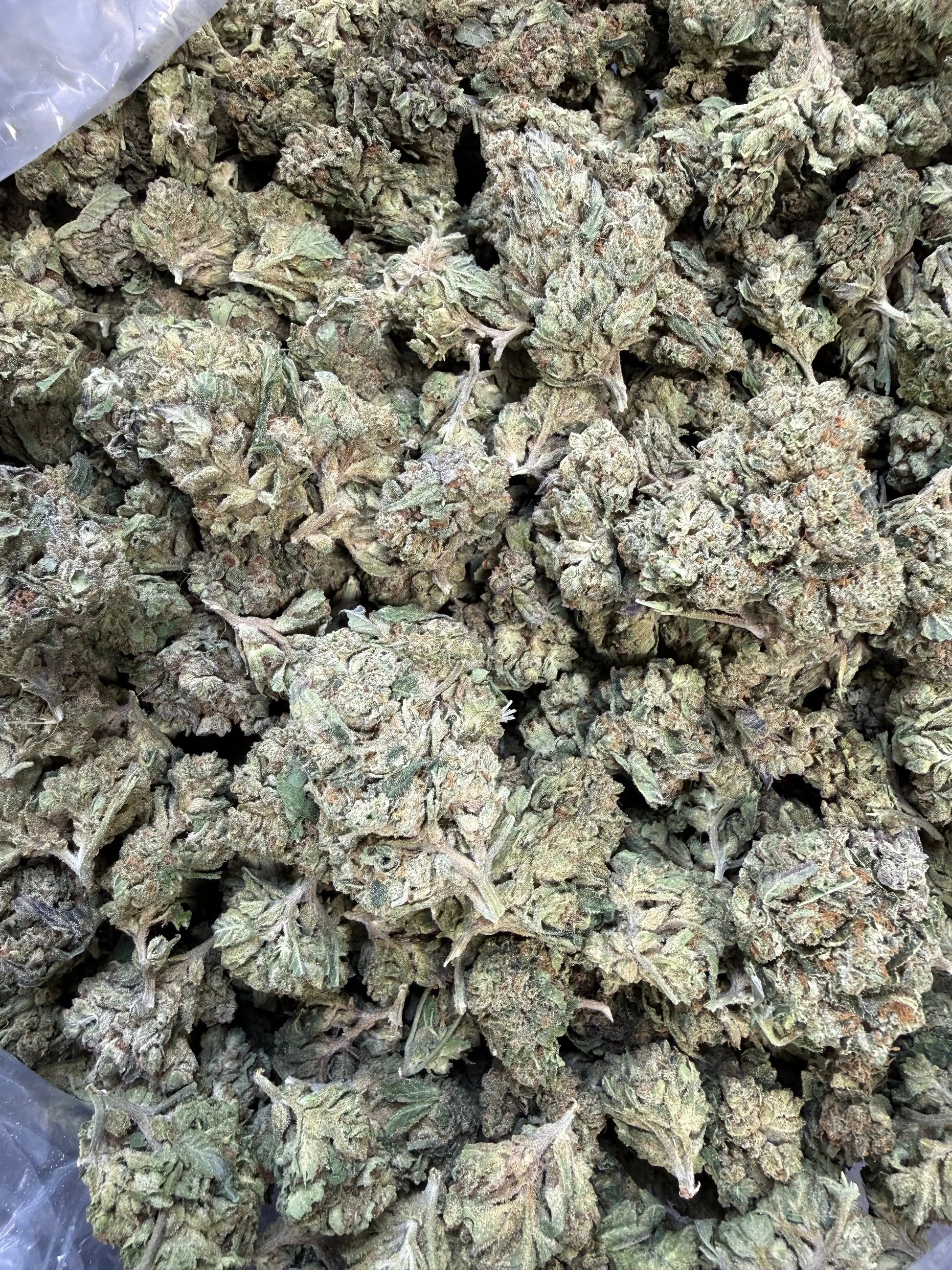 1 Pound Grape Crème Cake THCA FL Fulfillment Center