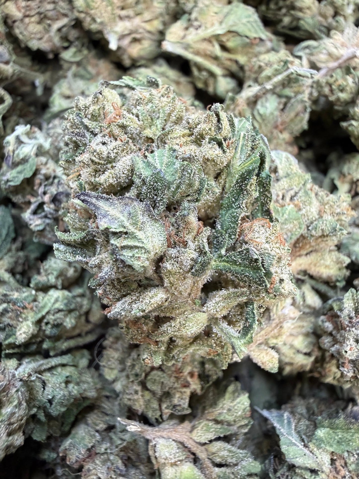 1 Pound Grape Crème Cake THCA FL Fulfillment Center