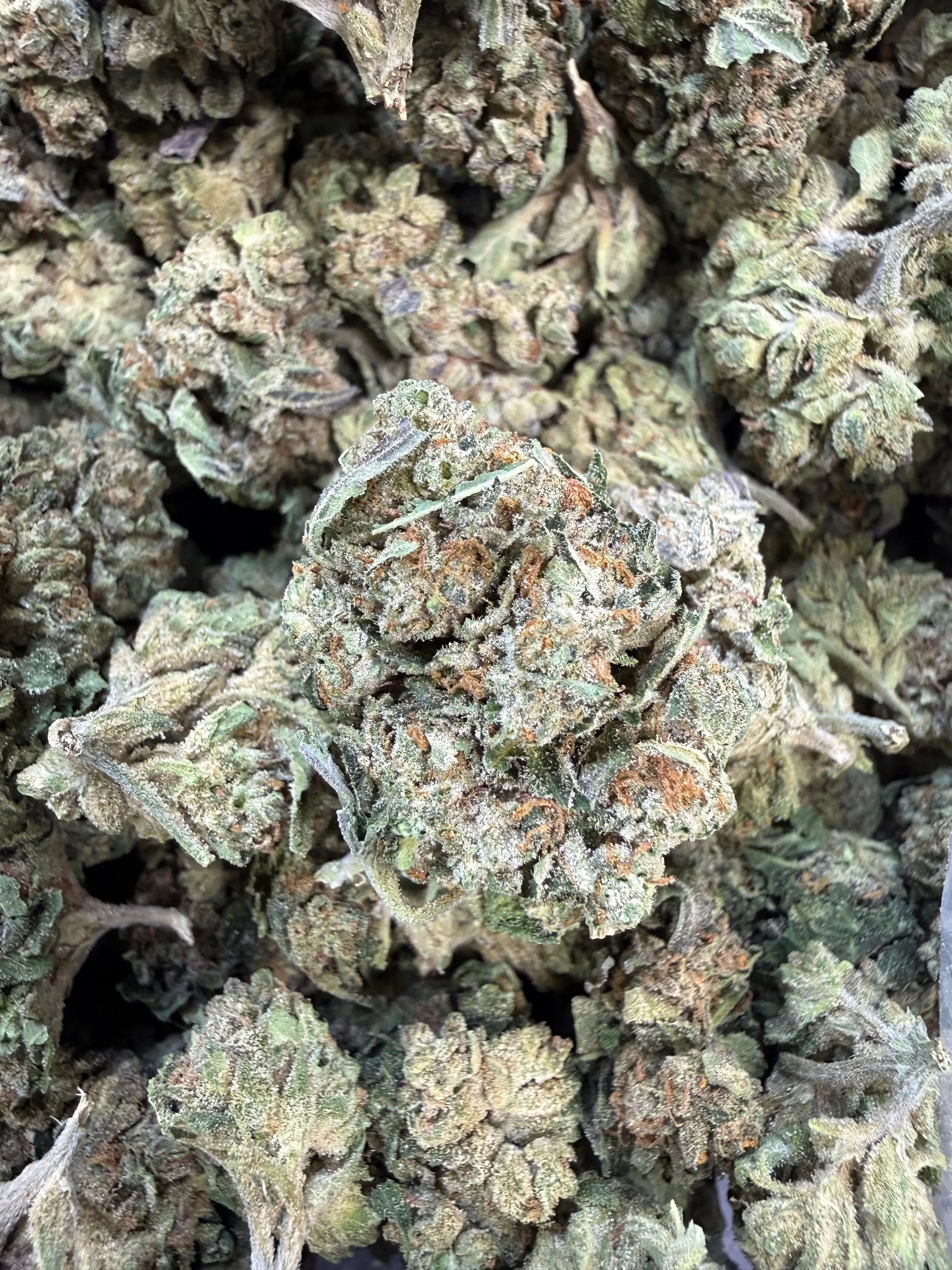 1 Pound Grape Crème Cake THCA FL Fulfillment Center