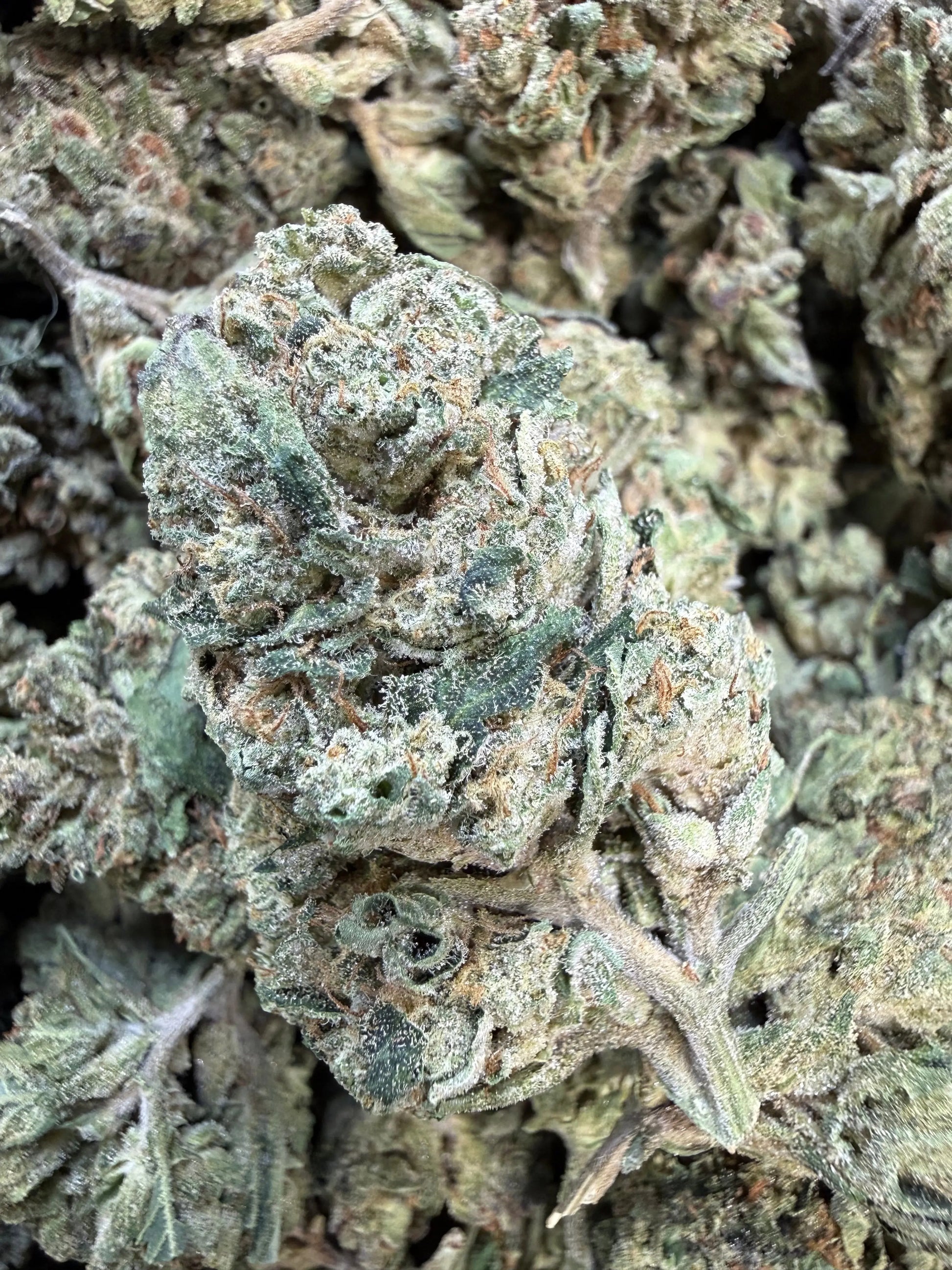 1 Pound Grape Crème Cake THCA FL Fulfillment Center