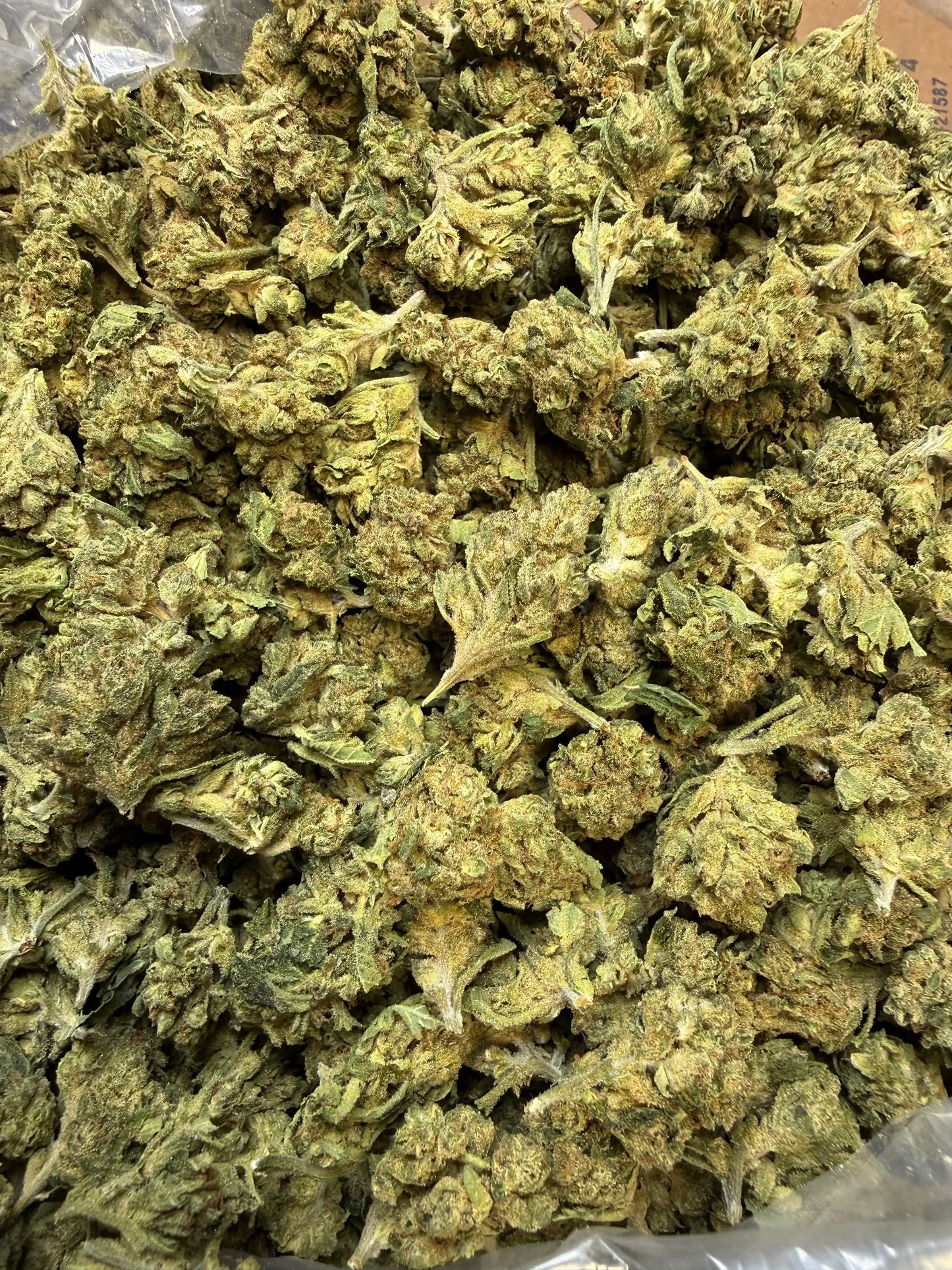 1 Pound - Grape Cream Cake THCA Flower (Smalls)