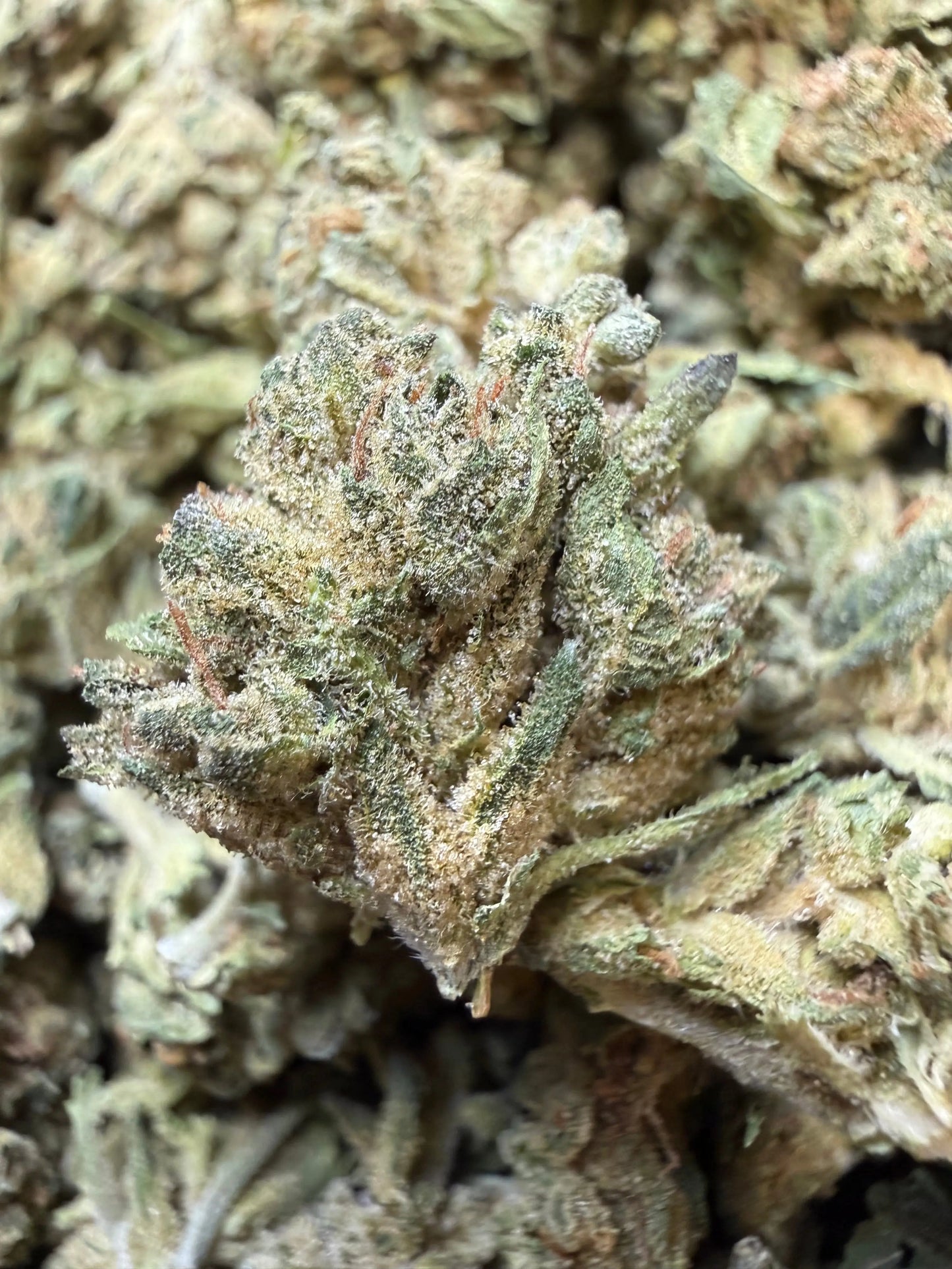 1 Pound - Grape Cream Cake THCA Flower (Smalls)