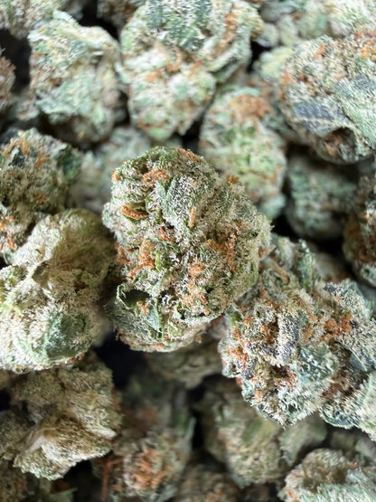 1 Pound - Grape Sugar Cookies THCA Strain (Smalls) Frisco Labs