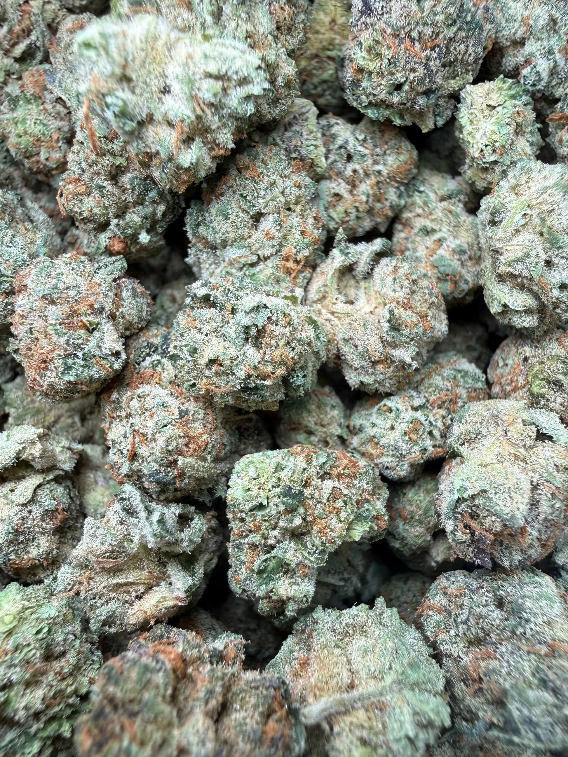 1 Pound - Grape Sugar Cookies THCA Strain (Smalls) Frisco Labs