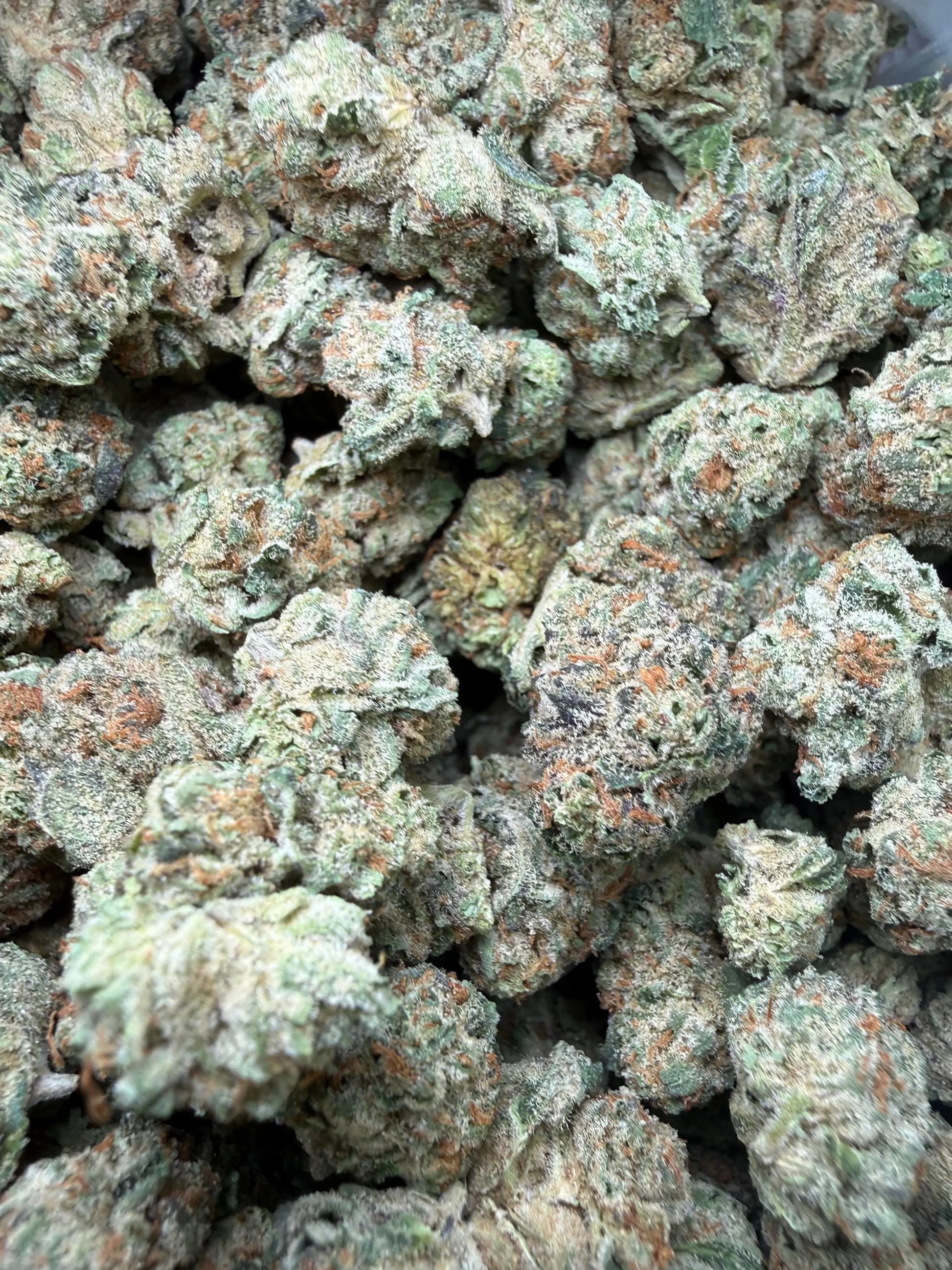 1 Pound - Grape Sugar Cookies THCA Strain (Smalls) Frisco Labs