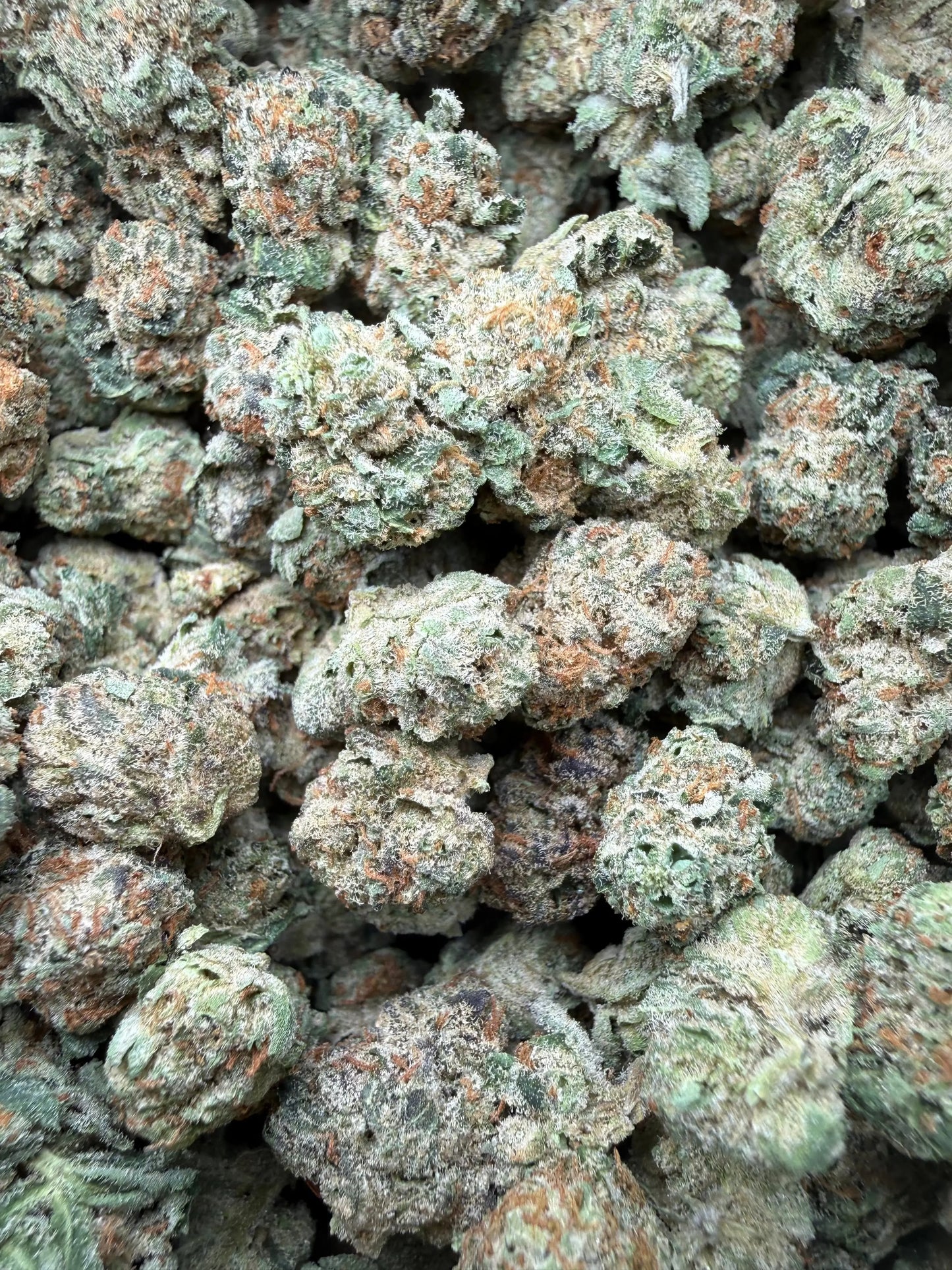 1 Pound - Grape Sugar Cookies THCA Strain (Smalls) Frisco Labs