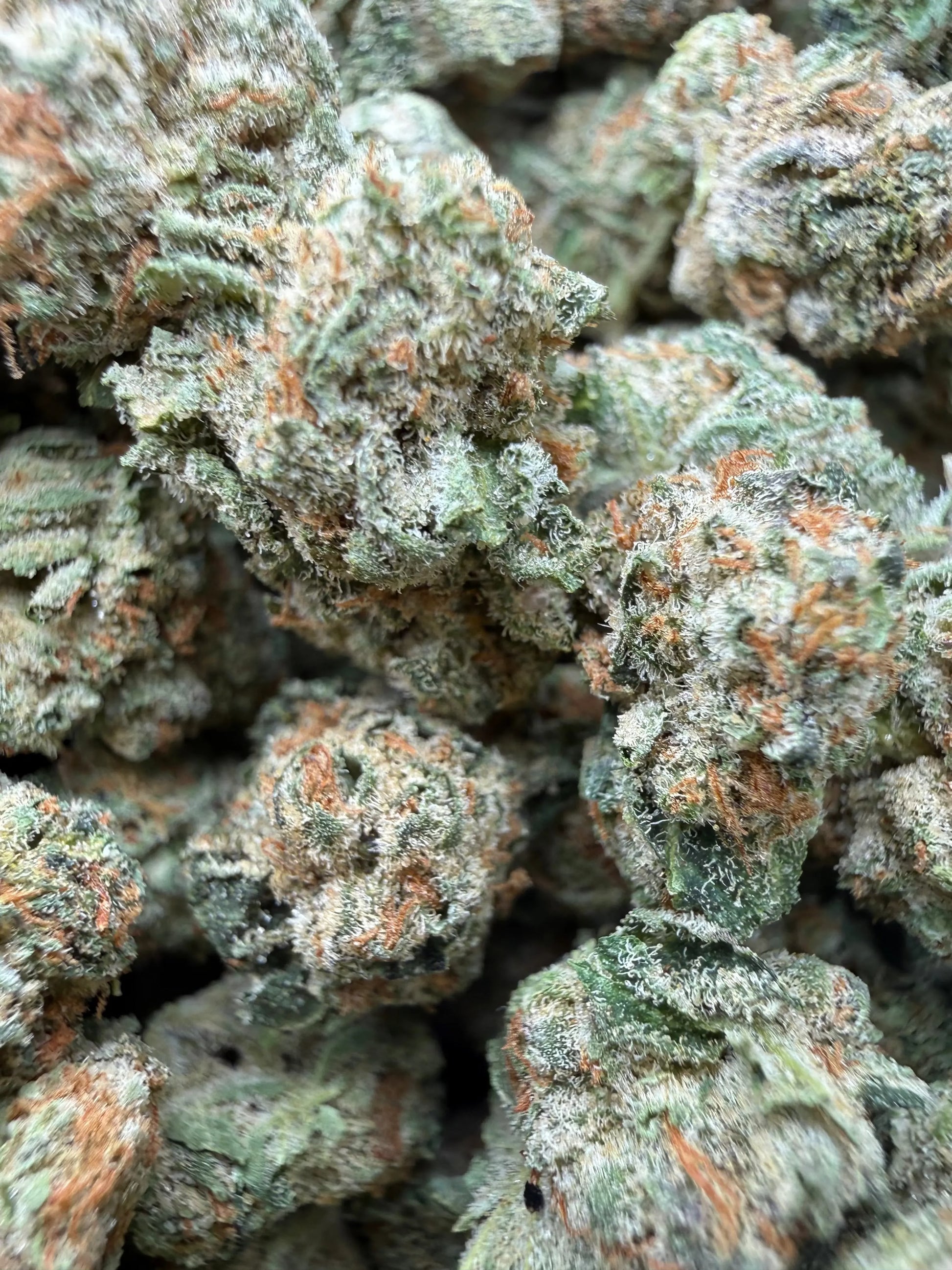 1 Pound - Grape Sugar Cookies THCA Strain (Smalls) Frisco Labs