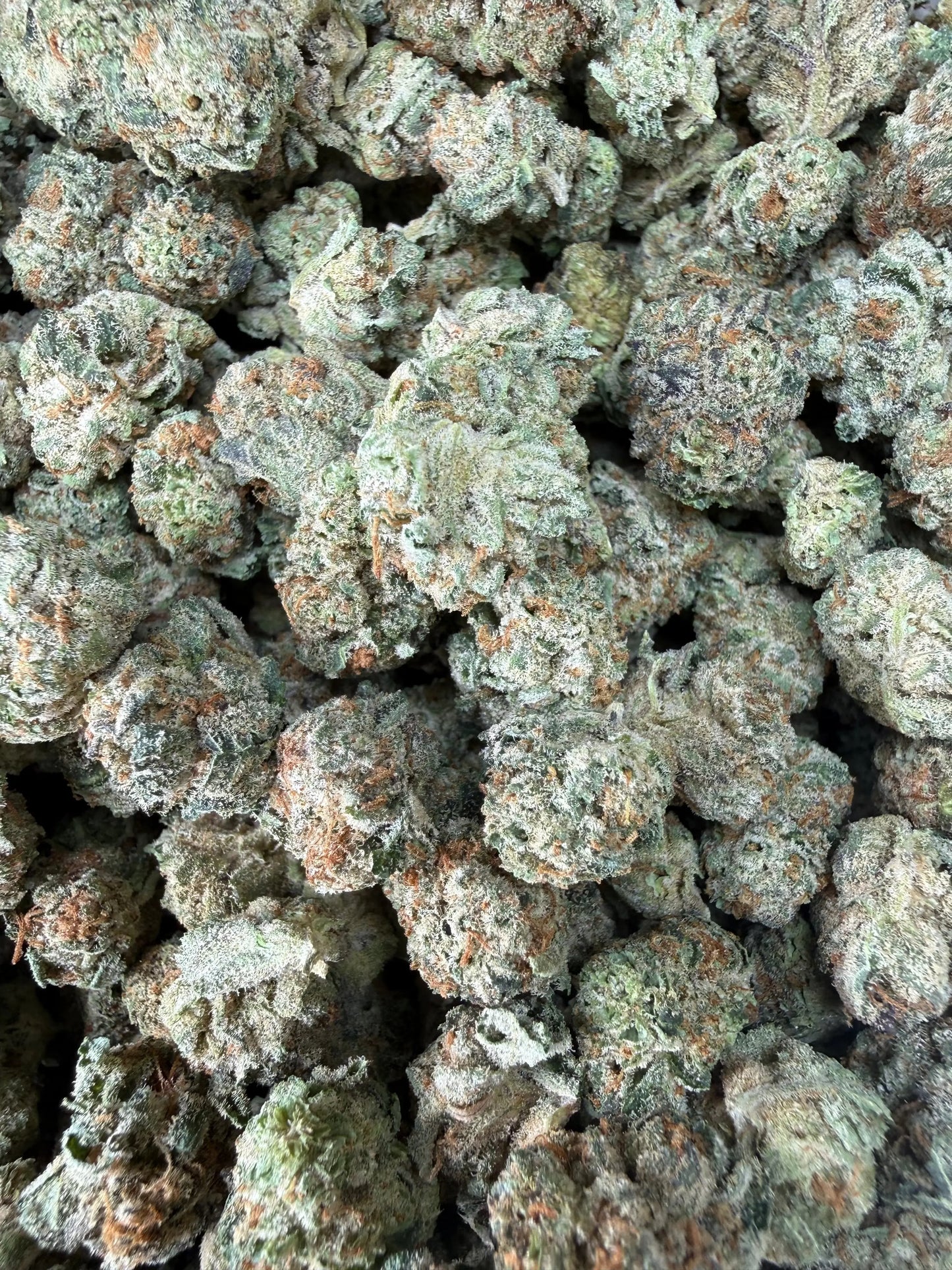 1 Pound - Grape Sugar Cookies THCA Strain (Smalls) Frisco Labs