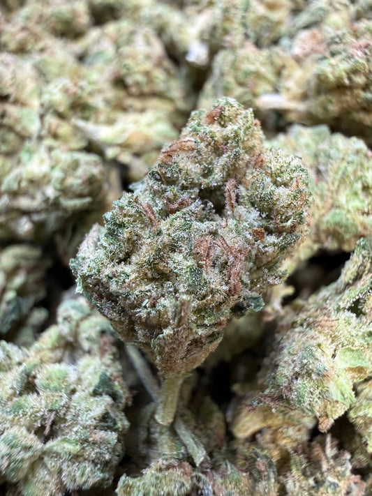 1 Pound - Ice Cream Pie THCA Strain (Small)