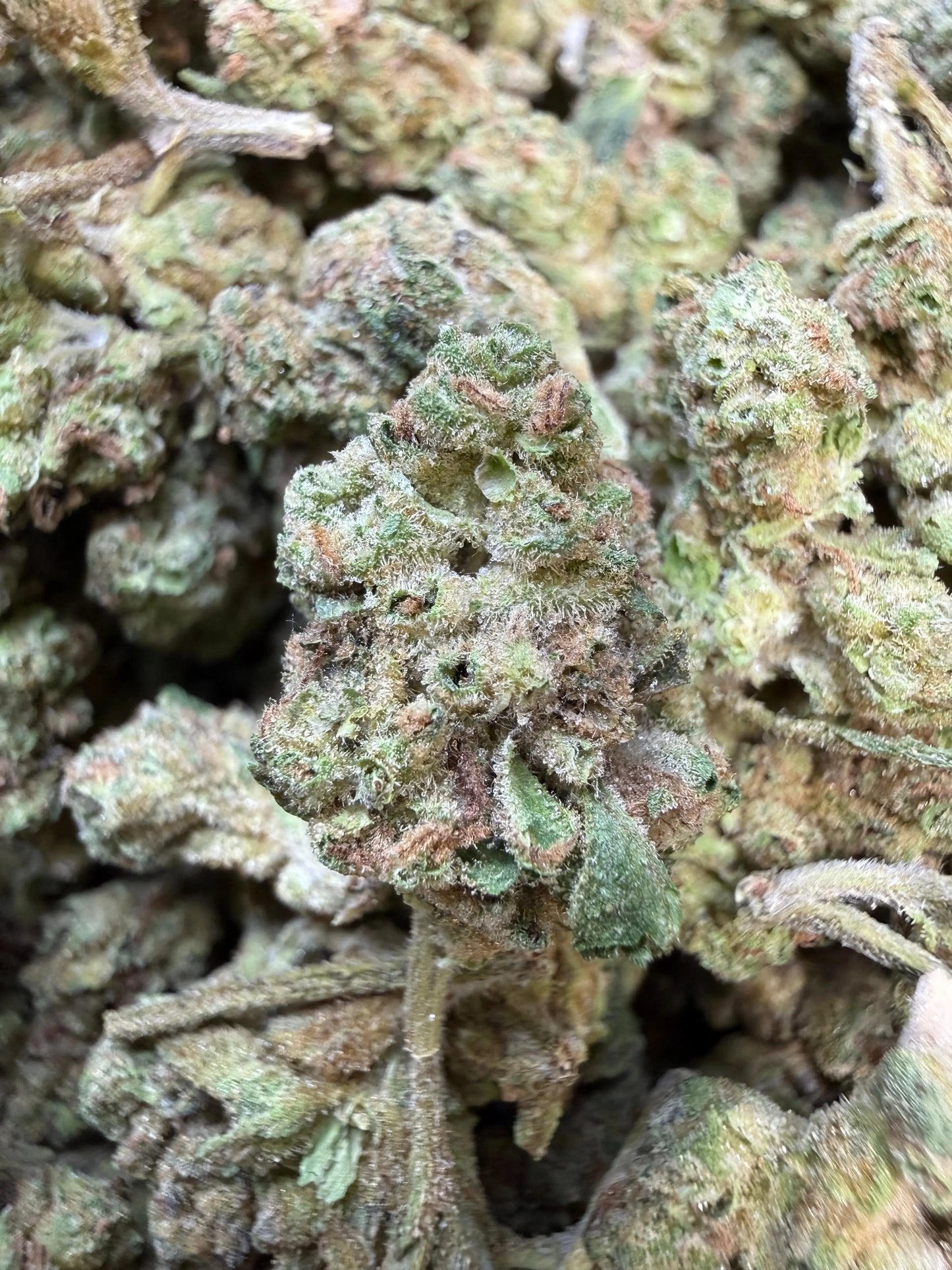 1 Pound - Ice Cream Pie THCA Strain (Small)