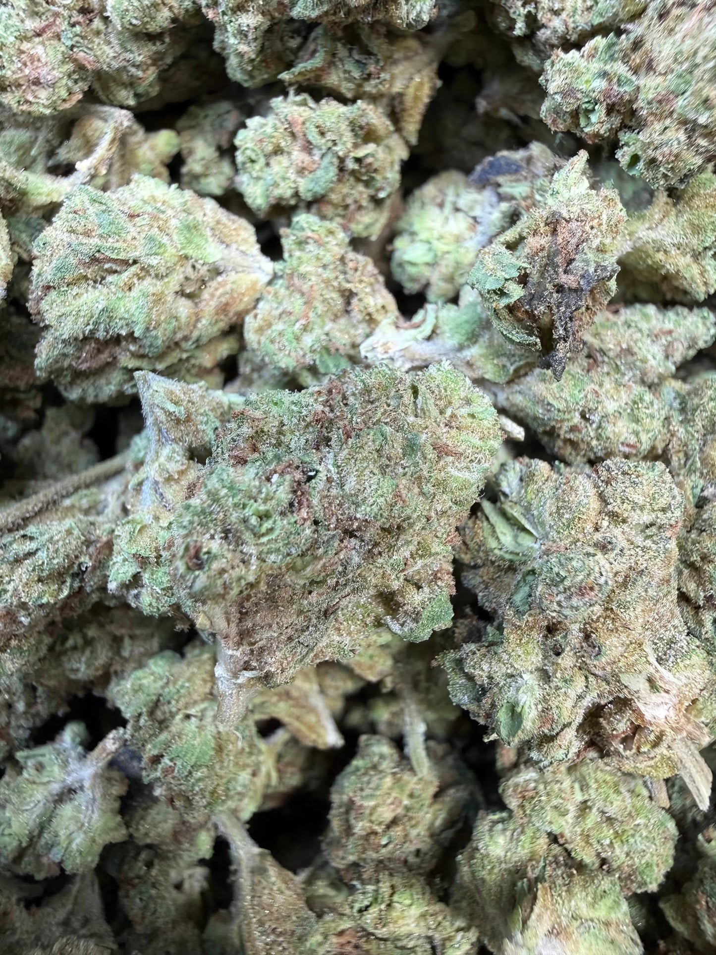 1 Pound - Ice Cream Pie THCA Strain (Small)