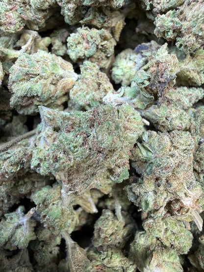 1 Pound - Ice Cream Pie THCA Strain (Small)