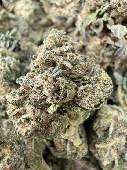 1 Pound - Jokers Runtz THCA Strain Frisco Labs