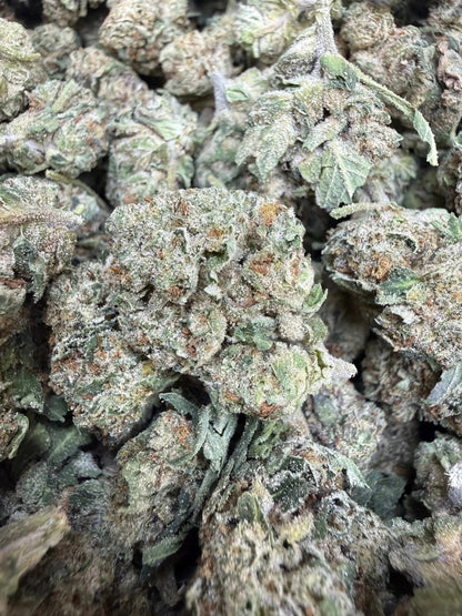 1 Pound - Jokers Runtz THCA Strain Frisco Labs