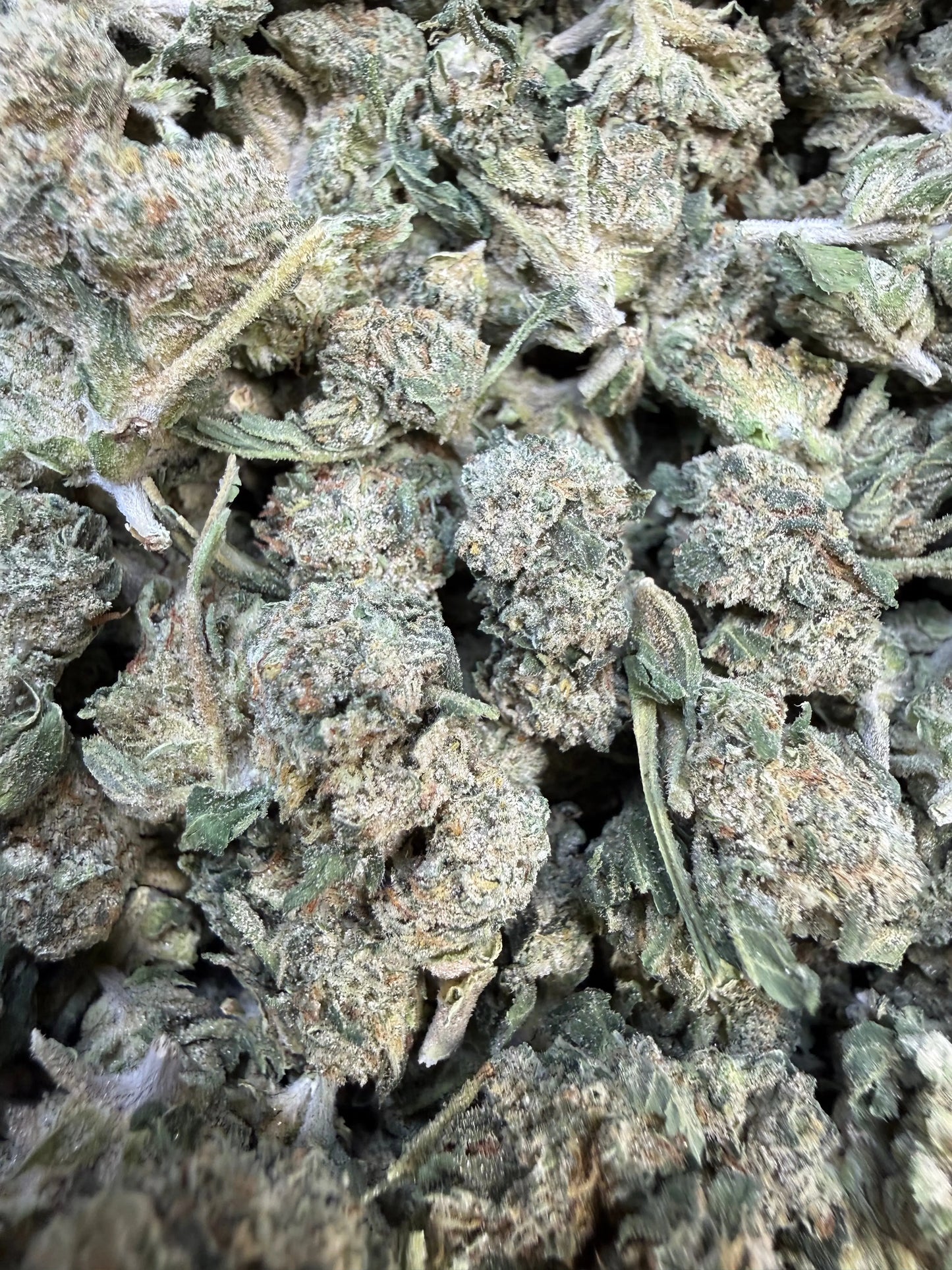 1 Pound - Jokers Runtz THCA Flower (Small)