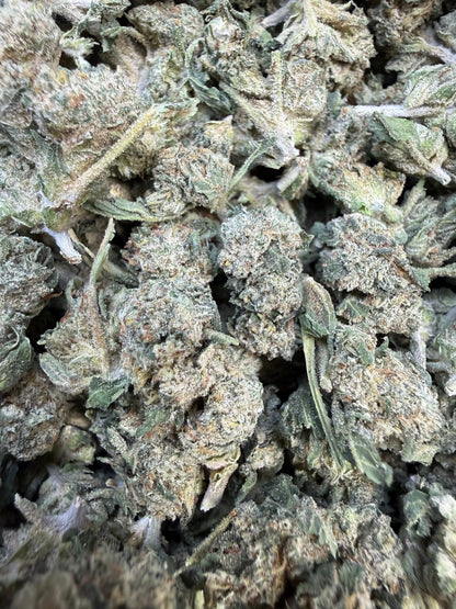 1 Pound - Jokers Runtz THCA Flower (Small)