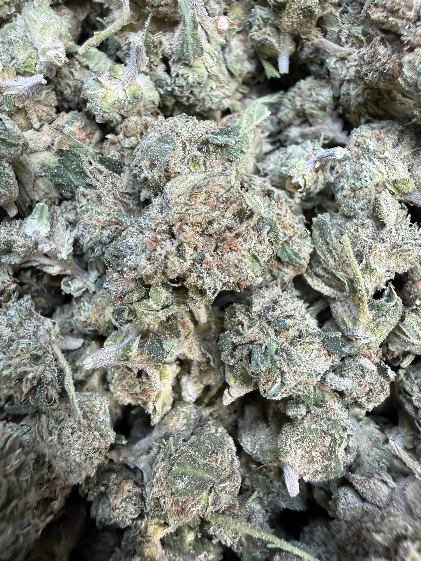 1 Pound - Jokers Runtz THCA Flower (Small)