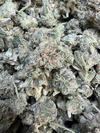 1 Pound - Jokers Runtz THCA Flower (Small)