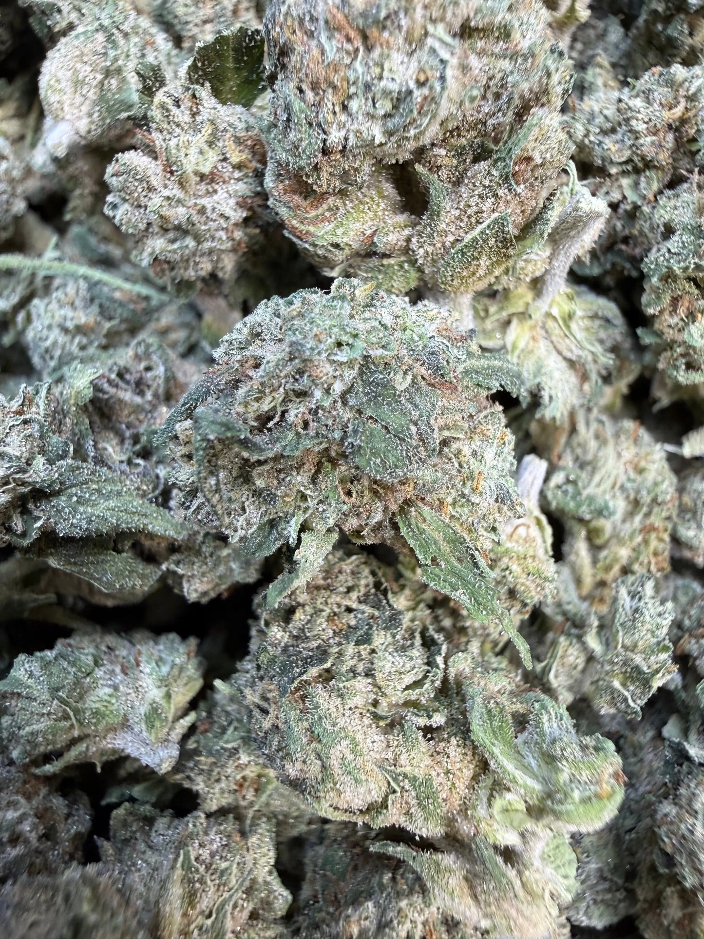 1 Pound - Jokers Runtz THCA Flower (Small)