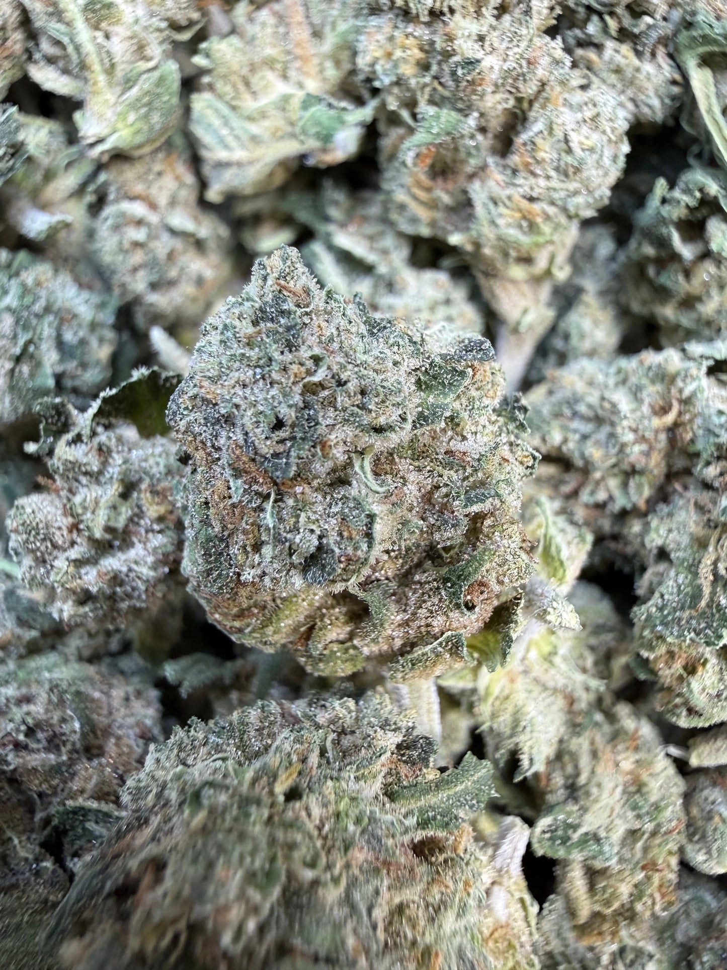 1 Pound - Jokers Runtz THCA Flower (Small)