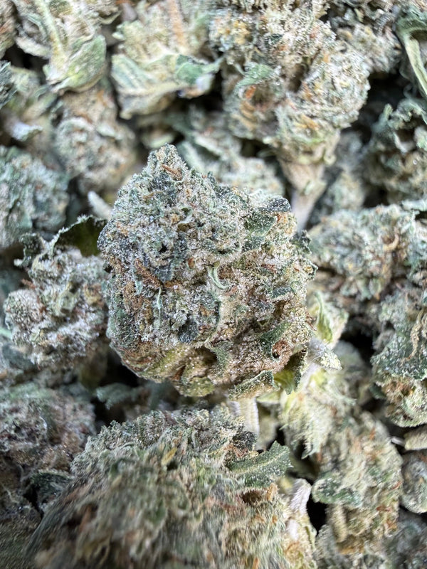 1 Pound - Jokers Runtz THCA Flower (Small)