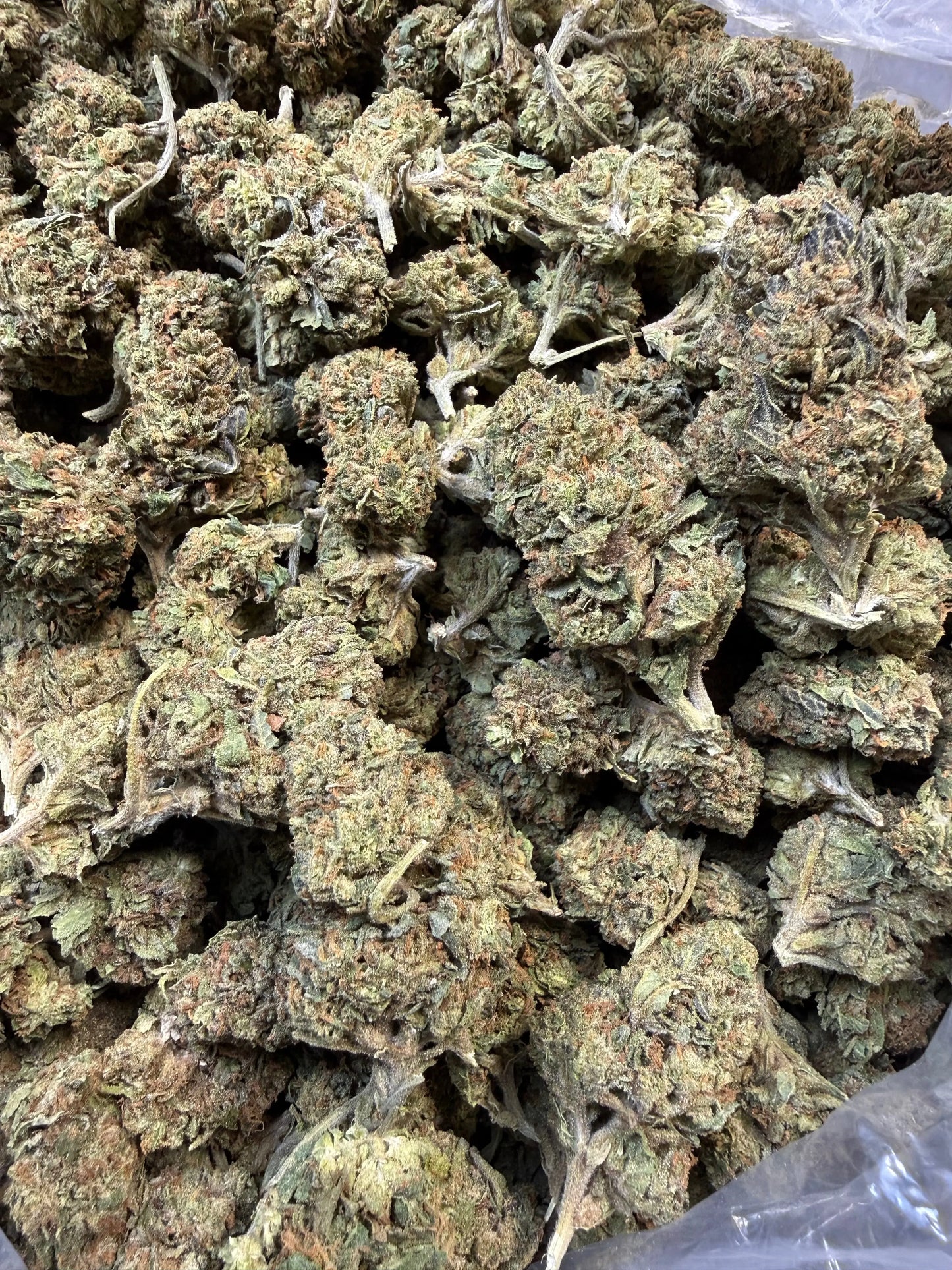 1 Pound - Jokers Runtz THCA Strain Frisco Labs