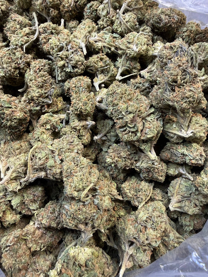 1 Pound - Jokers Runtz THCA Strain Frisco Labs