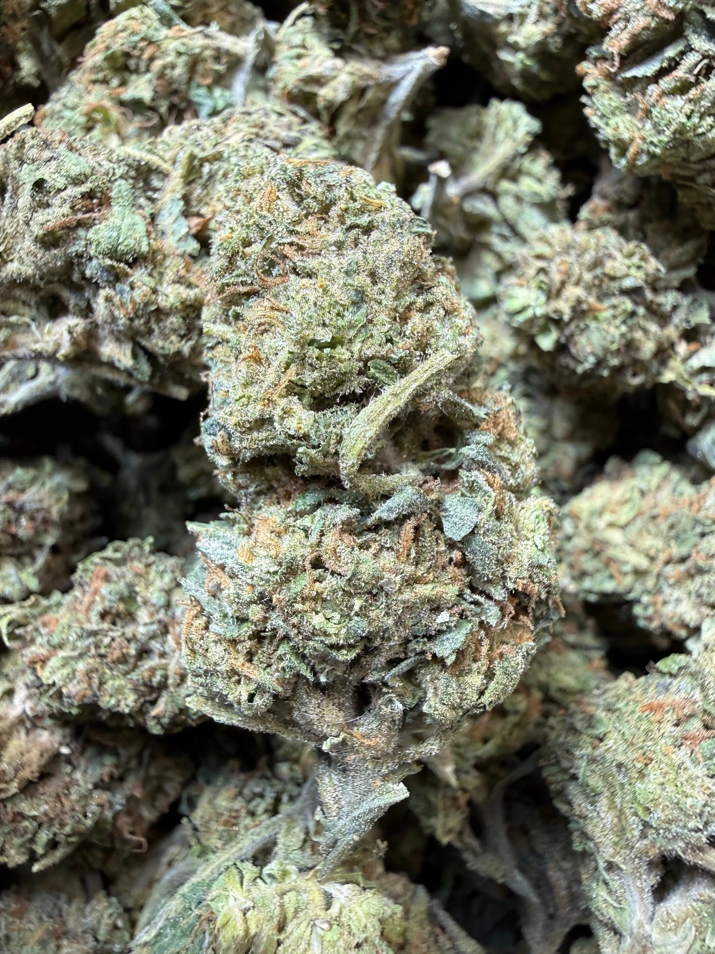 1 Pound - Jokers Runtz THCA Strain Frisco Labs