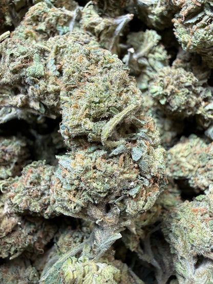 1 Pound - Jokers Runtz THCA Strain Frisco Labs