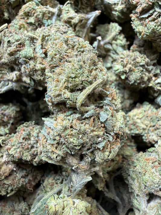 1 Pound - Jokers Runtz THCA Strain Frisco Labs