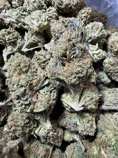 1 Pound - Jokers Runtz THCA Strain Frisco Labs